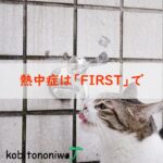 ずれてる　アイキャッチ